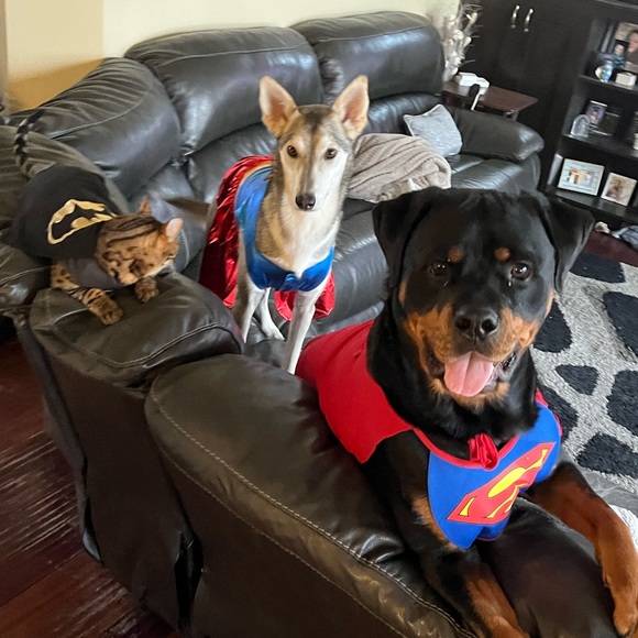 Meet your Posher, Michelle - Picture 3 of 3